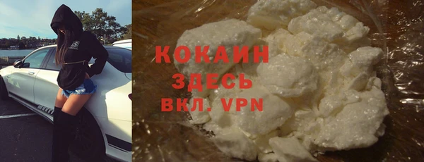 крисы Грязи