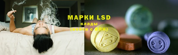 гидра Белоозёрский