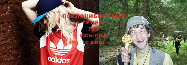 гидра Белоозёрский