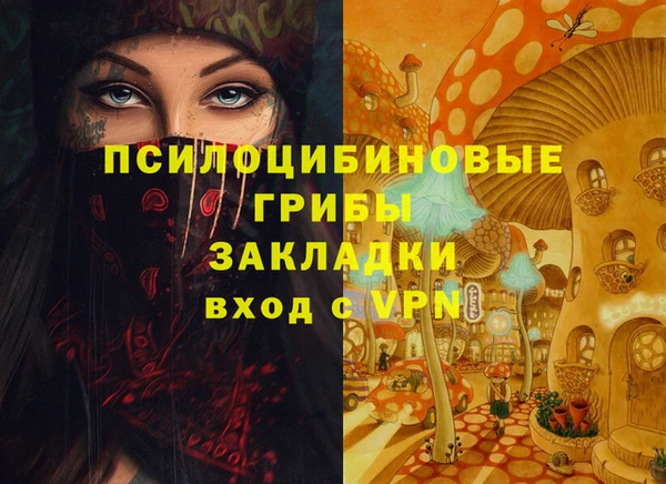 первитин Белокуриха