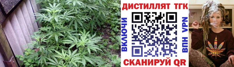 Дистиллят ТГК гашишное масло mega сайт Дигора