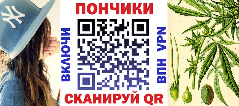 купить наркотики цена  ОМГ ОМГ зеркало  Марихуана SATIVA & INDICA  Дигора 